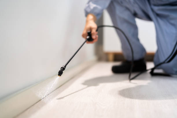 Licensed Pest Control service in Fort Bragg, CA - Show Me Pest Control
