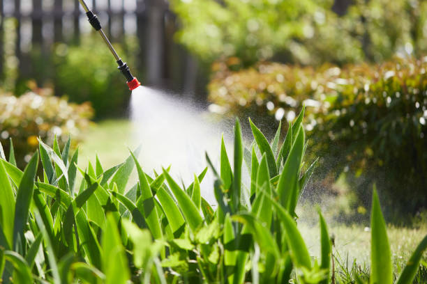 24/7 Emergency Wasp Removal experts in Fort Bragg, CA
