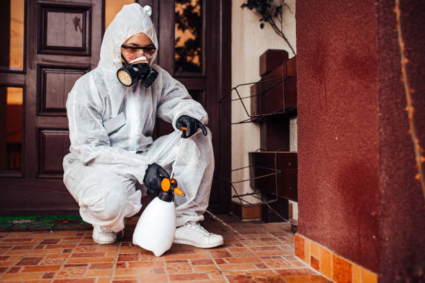 Reliable Wasp Removal contractor in Fort Bragg, CA by Show Me Pest Control